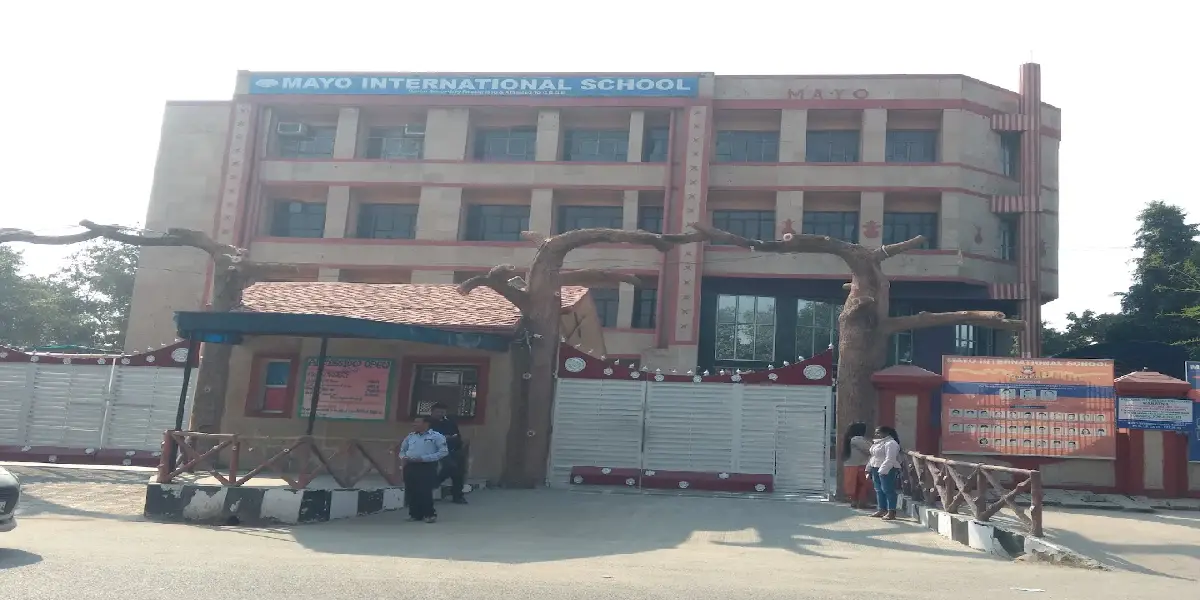Mayo International School
