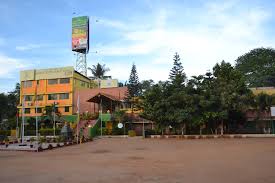 Green Country Public School