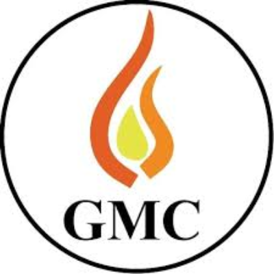  Logo of Global Montessori Centre & Play Home