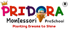  Logo of Pridora Montessori Preschool