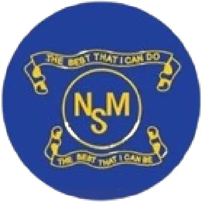 Logo of New Millennium School