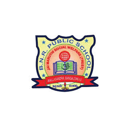  Logo of BNR Public School